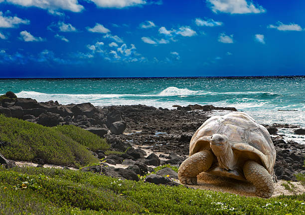 GALÁPAGOS EXPRESS | 5 DÍAS / 4 NOCHES